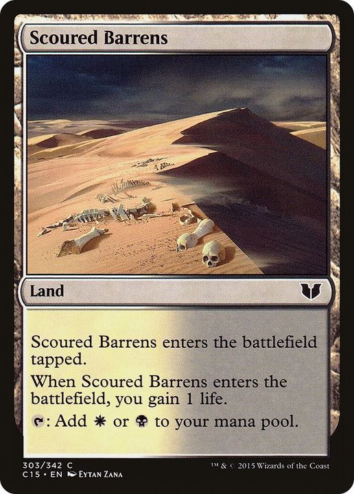 Scoured Barrens in the group Advanced search at Proxyprinters.com (19165)