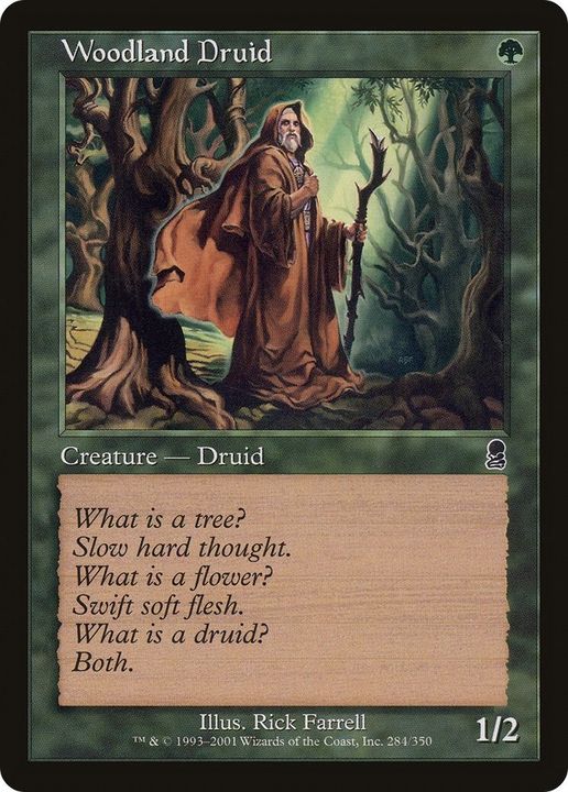 Woodland Druid in the group Magic the Gathering / Sets / Odyssey Promos at Proxyprinters.com (19433)