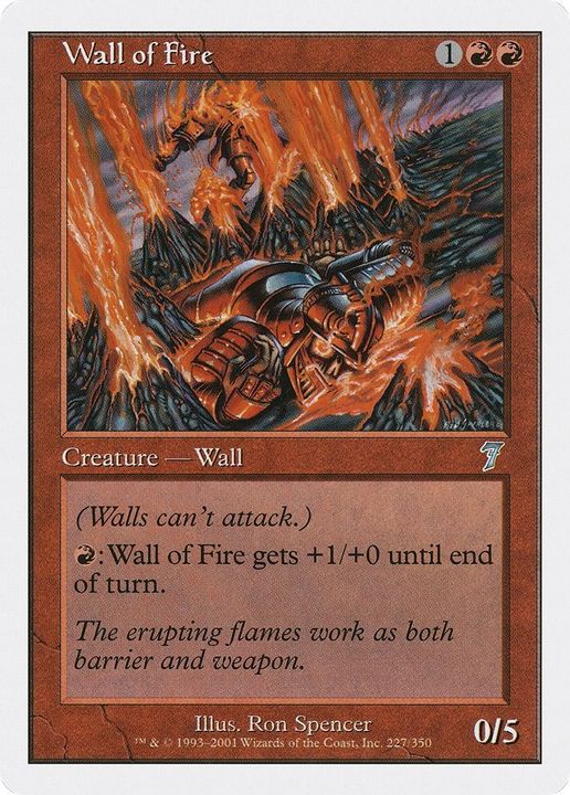 Wall of Fire in the group Advanced search at Proxyprinters.com (19500)