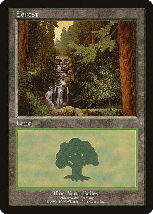 Forest in the group Magic the Gathering / Types / Land / Forest at Proxyprinters.com (19627)