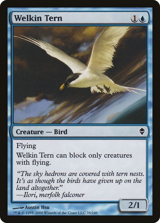 Welkin Tern in the group Magic the Gathering / Sets / Zendikar at Proxyprinters.com (19665)