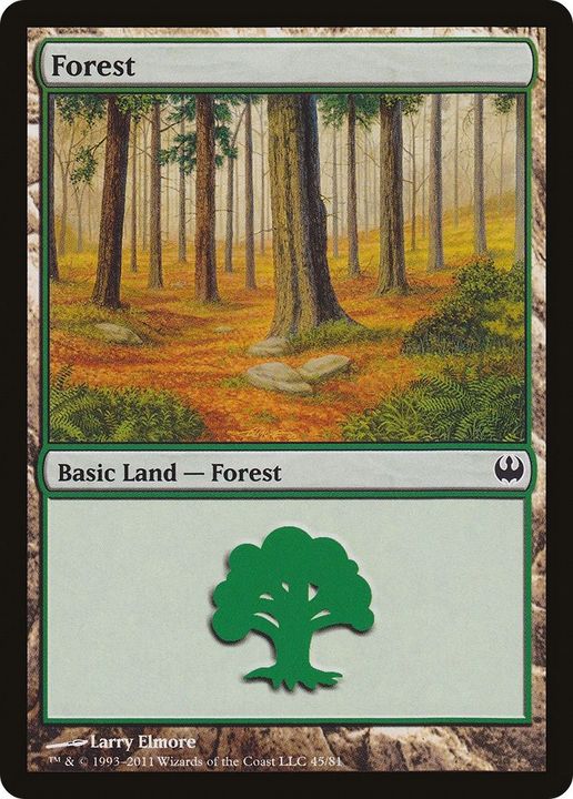 Forest in the group Magic the Gathering / Sets / Duel Decks: Knights vs. Dragons at Proxyprinters.com (19957)