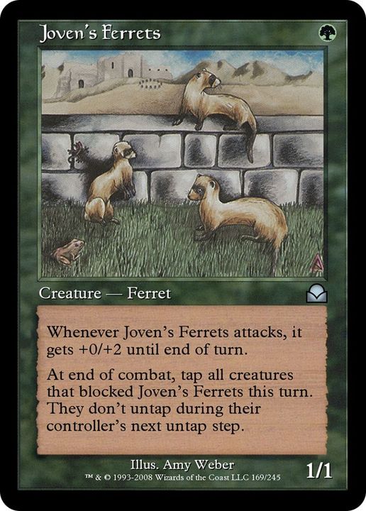 Joven's Ferrets in the group Advanced search at Proxyprinters.com (20357)
