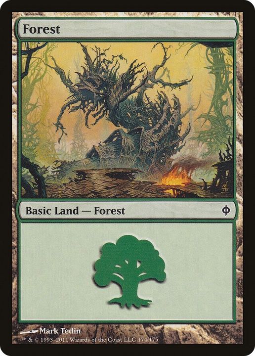 Forest in the group Magic the Gathering / Types / Land / Forest at Proxyprinters.com (20447)