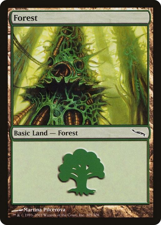 Forest in the group Magic the Gathering / Types / Land / Forest at Proxyprinters.com (20560)