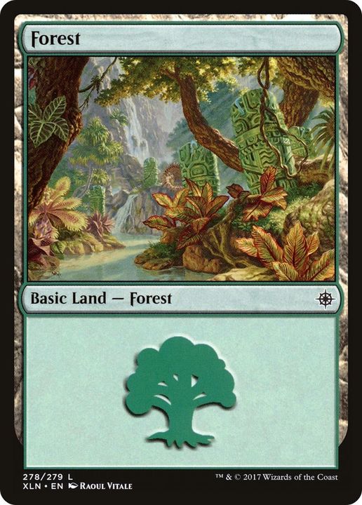 Forest in the group Magic the Gathering / Types / Land / Forest at Proxyprinters.com (21123)