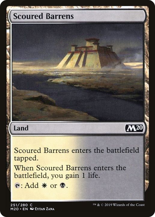 Scoured Barrens in the group Magic the Gathering / Sets / Core Set 2020 at Proxyprinters.com (21802)