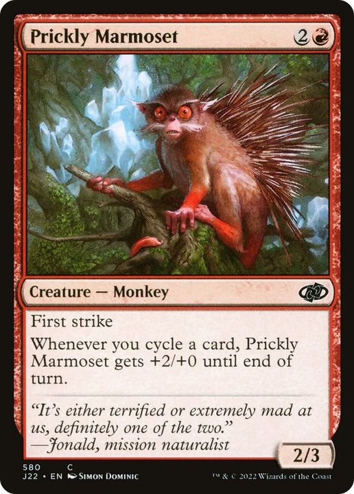 Prickly Marmoset in the group Singles at Proxyprinters.com (21828)