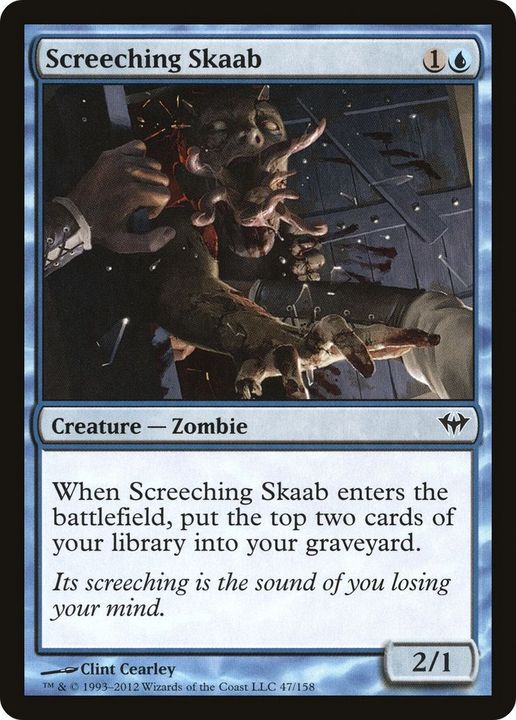 Screeching Skaab in the group Magic the Gathering / Sets / Darksteel at Proxyprinters.com (22043)