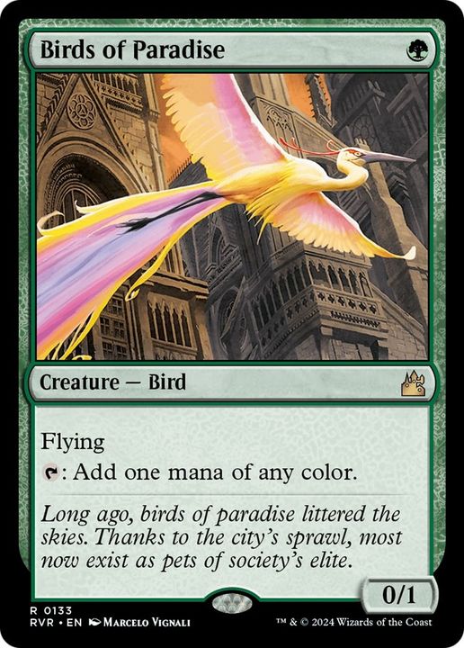 Birds of Paradise in the group Magic the Gathering / Sets / Ravnica: City of Guilds Promos at Proxyprinters.com (22476)