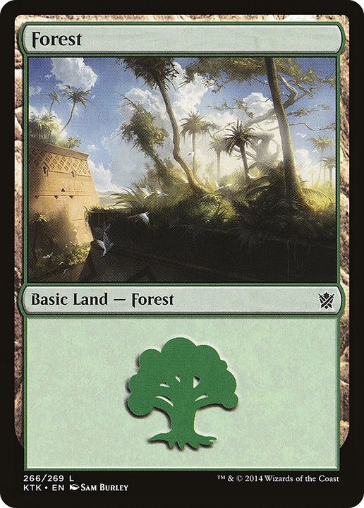 Forest in the group Magic the Gathering / Types / Land / Forest at Proxyprinters.com (22808)