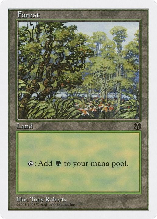 Forest in the group Magic the Gathering / Types / Land / Forest at Proxyprinters.com (23119)