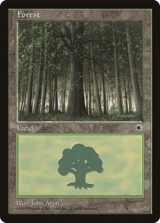 Forest in the group Singles at Proxyprinters.com (23427)