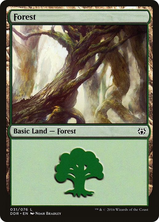 Forest in the group Magic the Gathering / Types / Land / Forest at Proxyprinters.com (23627)