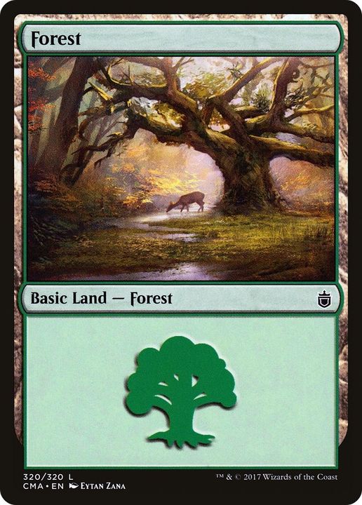 Forest in the group Magic the Gathering / Types / Land / Forest at Proxyprinters.com (24148)