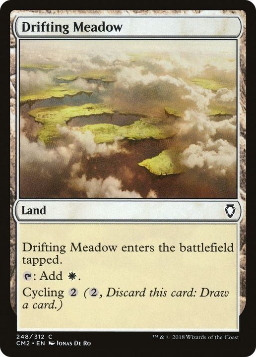 Drifting Meadow in the group Magic the Gathering / Sets / Commander Anthology Volume II at Proxyprinters.com (24160)