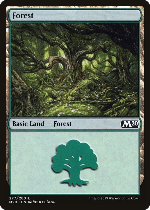 Forest in the group Magic the Gathering / Sets / Core Set 2020 at Proxyprinters.com (24192)