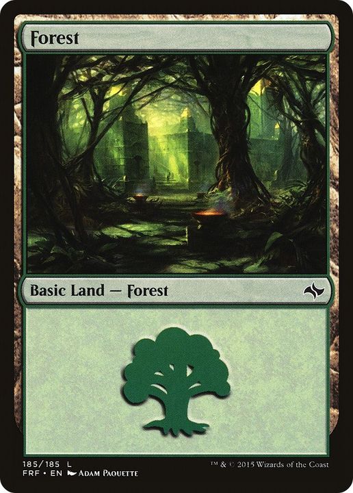 Forest in the group Magic the Gathering / Types / Land / Forest at Proxyprinters.com (24409)