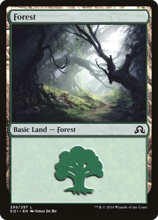 Forest in the group Magic the Gathering / Types / Land / Forest at Proxyprinters.com (24454)