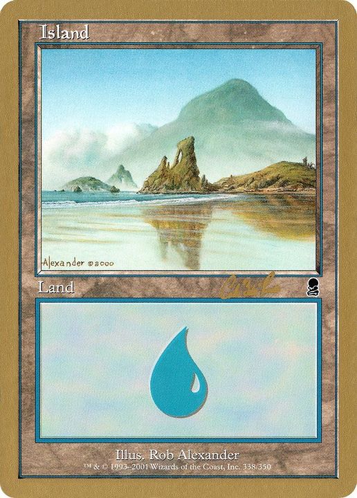 Island in the group Magic the Gathering / Sets / World Championship Decks 2002 at Proxyprinters.com (24640)