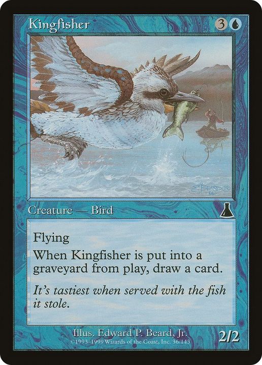 Kingfisher in the group Singles at Proxyprinters.com (24899)