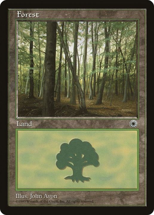 Forest in the group Magic the Gathering / Types / Land / Forest at Proxyprinters.com (25032)