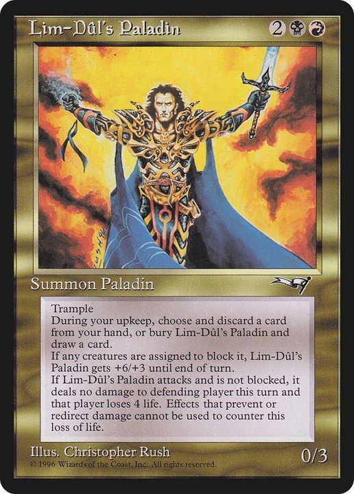 Lim-Dûl's Paladin in the group Advanced search at Proxyprinters.com (25106)