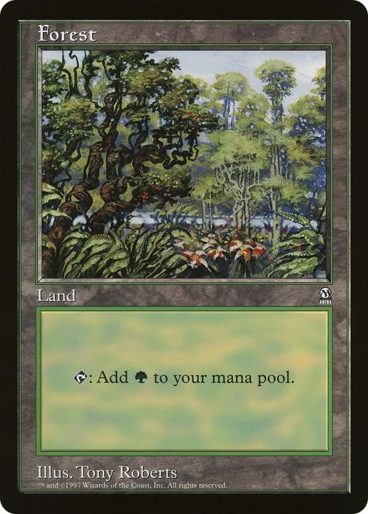 Forest in the group Magic the Gathering / Types / Land / Forest at Proxyprinters.com (25334)