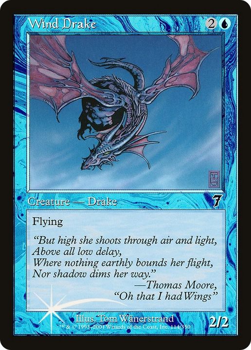 Wind Drake in the group Singles at Proxyprinters.com (25522)