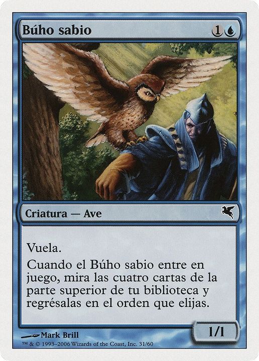 Sage Owl in the group Magic the Gathering / Types / Colors / Blue at Proxyprinters.com (25535)