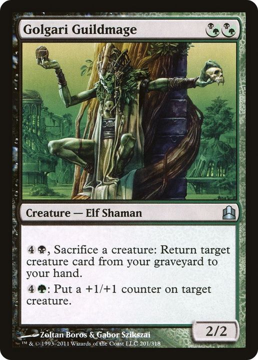 Golgari Guildmage in the group Magic the Gathering / Types / Colors / Multicolors / B, G at Proxyprinters.com (25741)