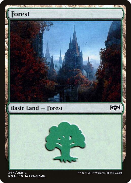 Forest in the group Magic the Gathering / Types / Land / Forest at Proxyprinters.com (26436)