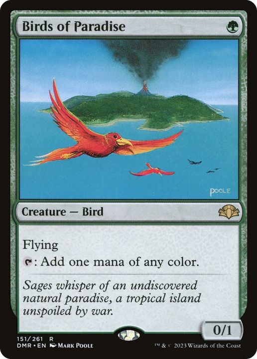 Birds of Paradise in the group Singles at Proxyprinters.com (26772)