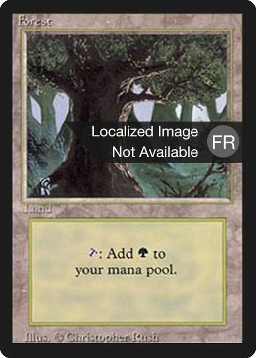 Forest in the group Magic the Gathering / Types / Land / Forest at Proxyprinters.com (2701)