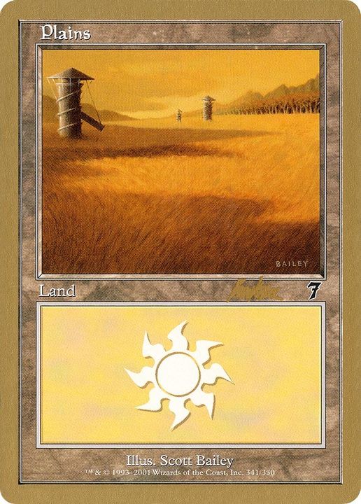 Plains in the group Magic the Gathering / Sets / World Championship Decks 2002 at Proxyprinters.com (27180)