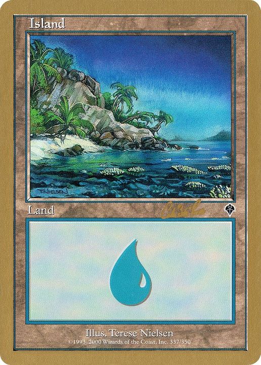 Island in the group Magic the Gathering / Sets / World Championship Decks 2002 at Proxyprinters.com (27404)