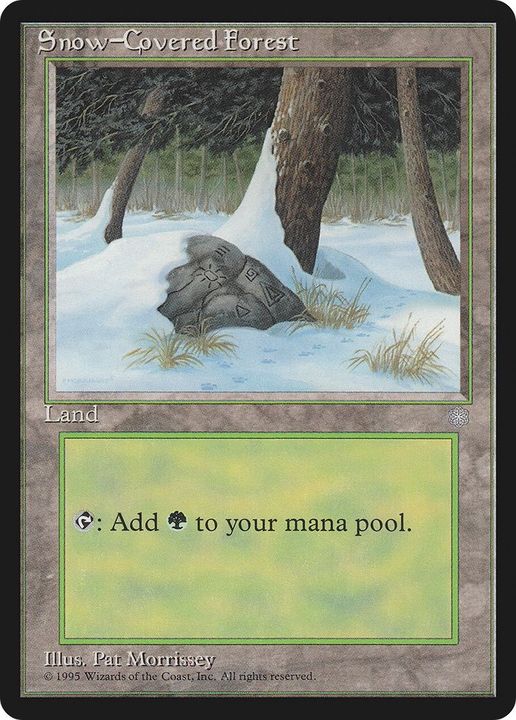 Snow-Covered Forest in the group Magic the Gathering / Types / Land / Forest at Proxyprinters.com (27781)