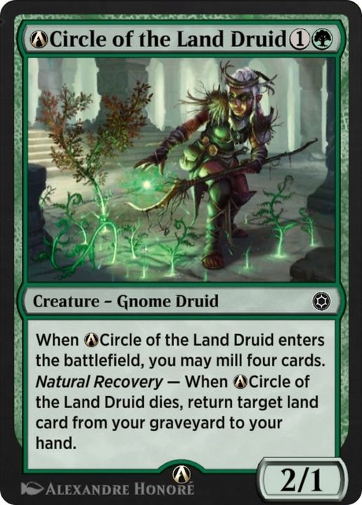 A-Circle of the Land Druid in the group Advanced search at Proxyprinters.com (2846)