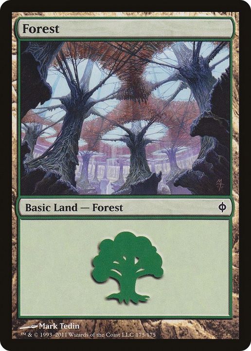 Forest in the group Magic the Gathering / Types / Land / Forest at Proxyprinters.com (28706)