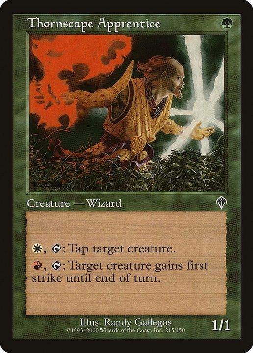 Thornscape Apprentice in the group Magic the Gathering / Types / Creatures / Wizard at Proxyprinters.com (29278)