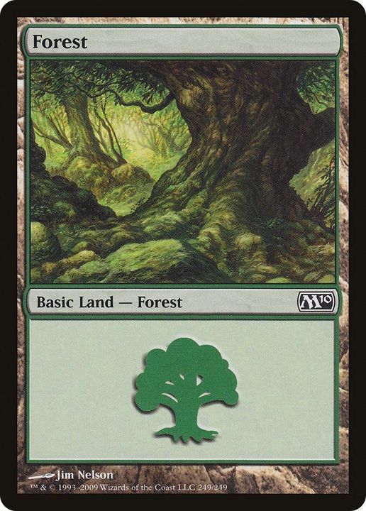 Forest in the group Magic the Gathering / Types / Land / Forest at Proxyprinters.com (2965)