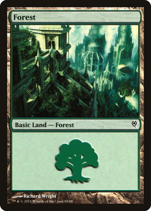 Forest in the group Magic the Gathering / Types / Land / Forest at Proxyprinters.com (30662)