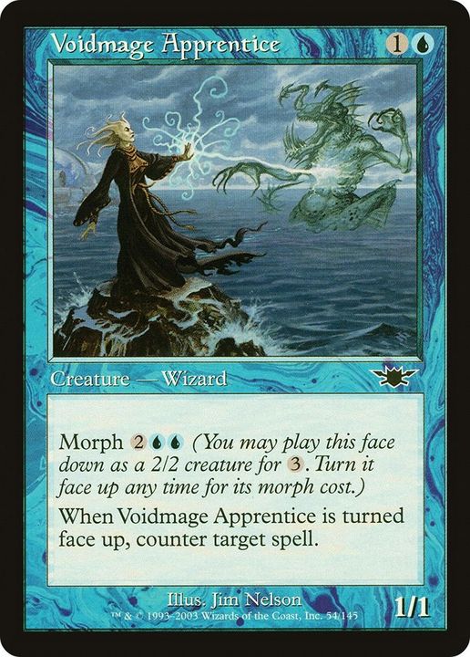 Voidmage Apprentice in the group Advanced search at Proxyprinters.com (31198)