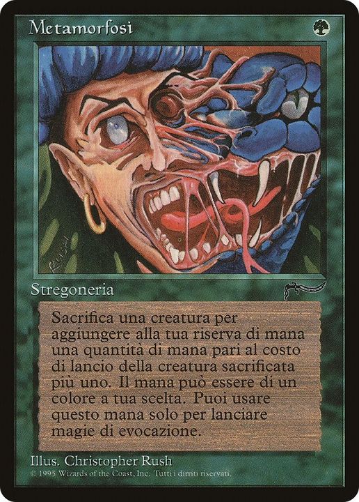 Metamorphosis in the group Magic the Gathering / Types / Colors / Green at Proxyprinters.com (31423)