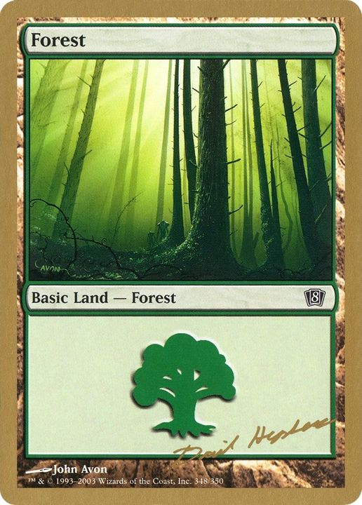 Forest in the group Magic the Gathering / Sets / World Championship Decks 2003 at Proxyprinters.com (31532)