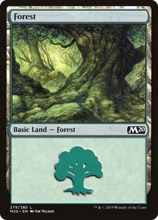 Forest in the group Magic the Gathering / Types / Land / Forest at Proxyprinters.com (31644)