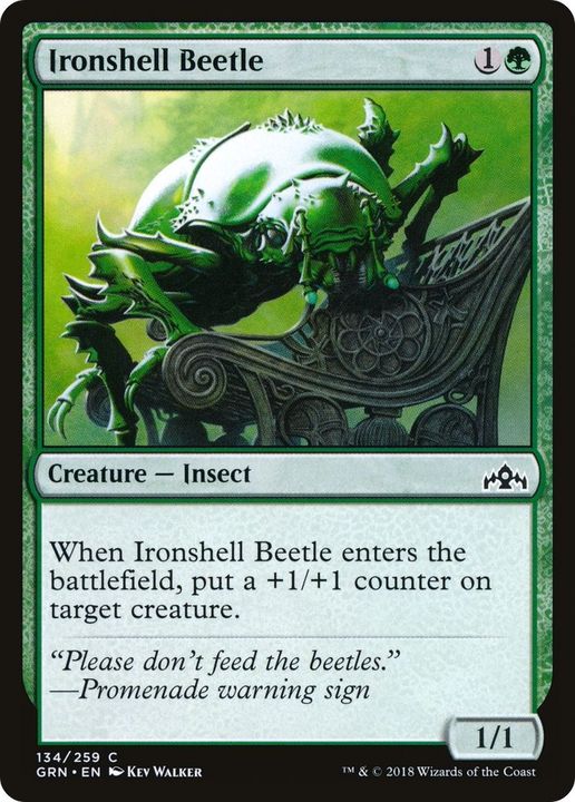 Ironshell Beetle in the group Magic the Gathering / Sets / Guilds of Ravnica at Proxyprinters.com (32093)