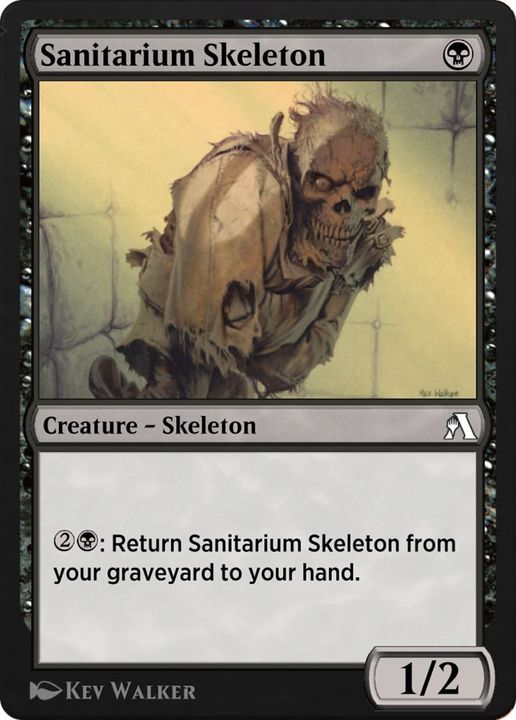 Sanitarium Skeleton in the group Advanced search at Proxyprinters.com (32127)