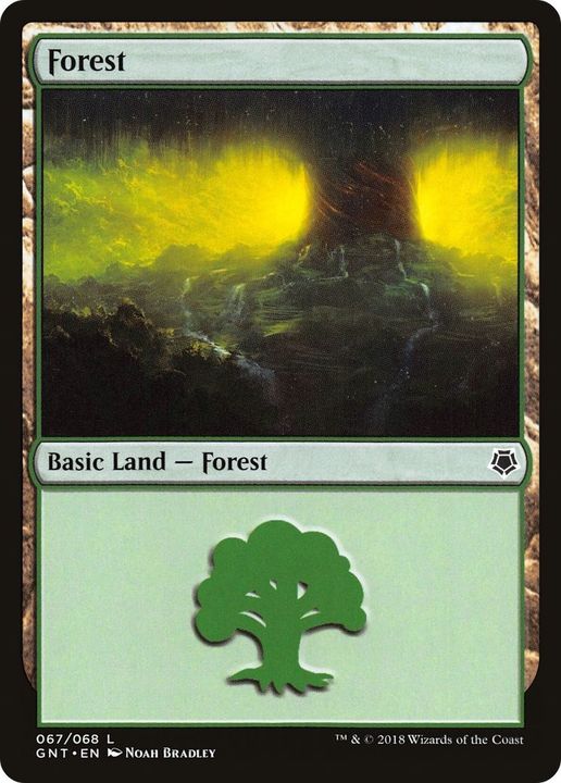 Forest in the group Magic the Gathering / Sets / Game Night: Free-for-All at Proxyprinters.com (32493)