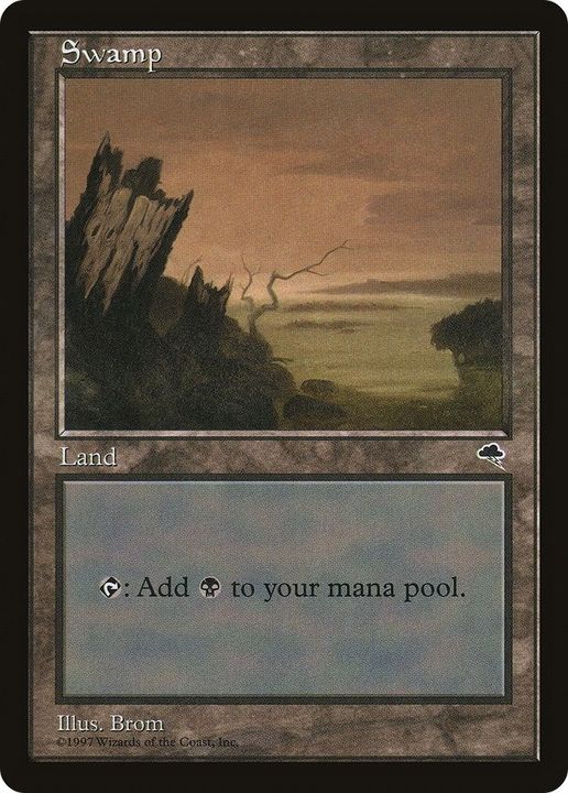 Swamp in the group Magic the Gathering / Sets / Tempest at Proxyprinters.com (32516)